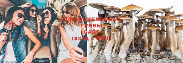 крисы Алзамай