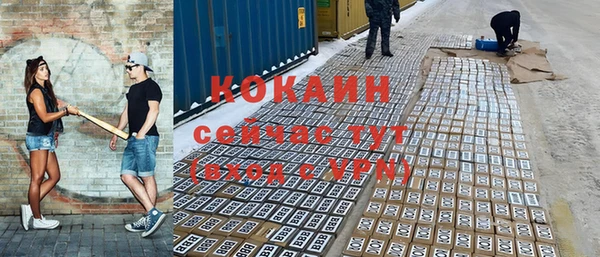 крисы Алзамай