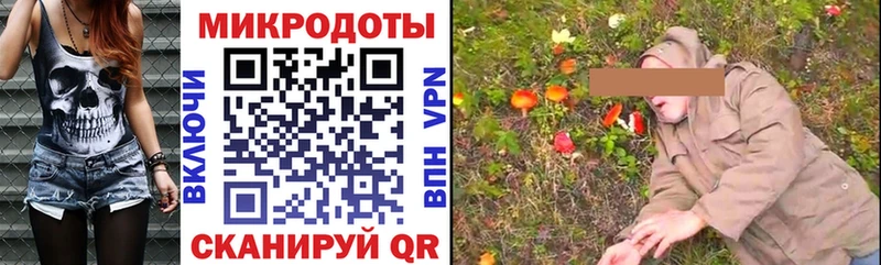 где купить   Новосиль  Галлюциногенные грибы GOLDEN TEACHER 